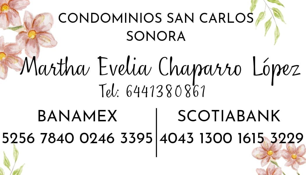 Primera imagen del album Sin nombre